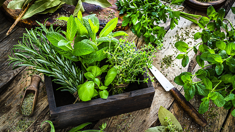 Box of fresh herbs