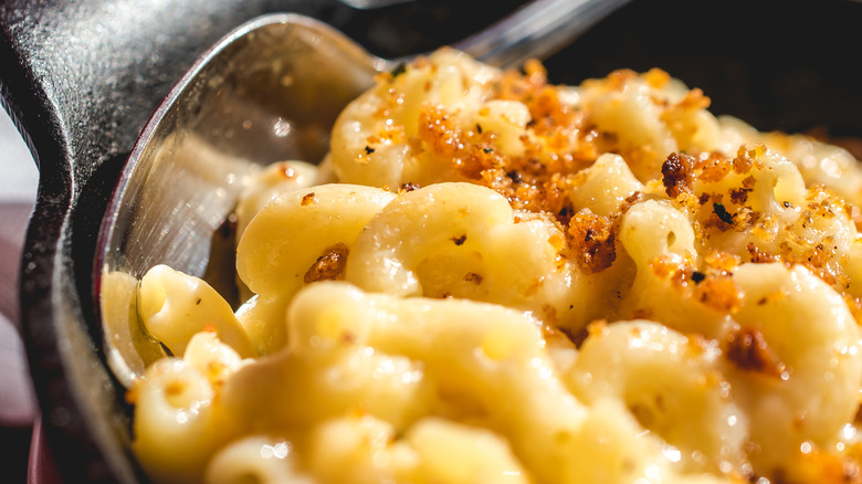 Macaroni and cheese with breadcrumbs