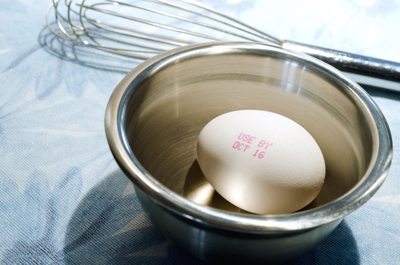 egg