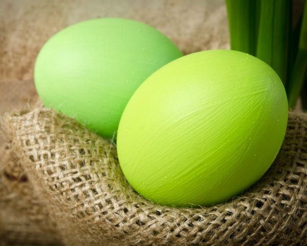 Going Green Easter Egg