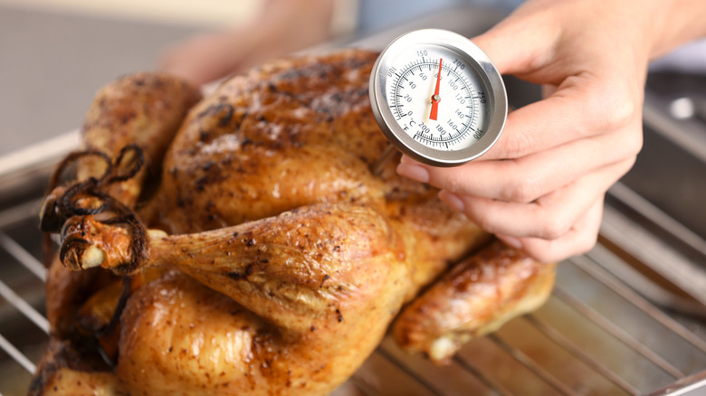 meat thermometer in turkey