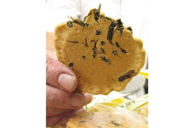 Wasp Crackers