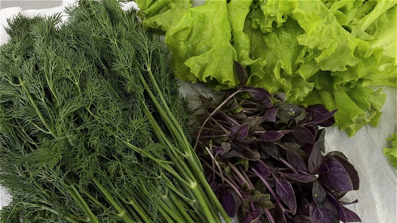leafy greens on paper towel