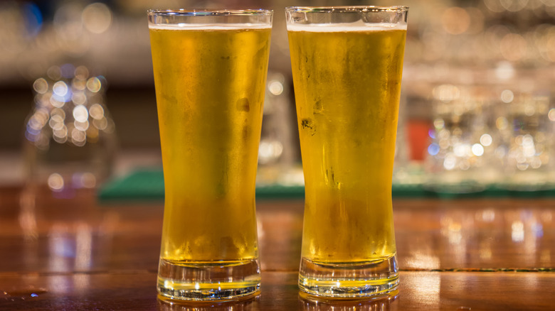 Glasses of beer on the bar counter