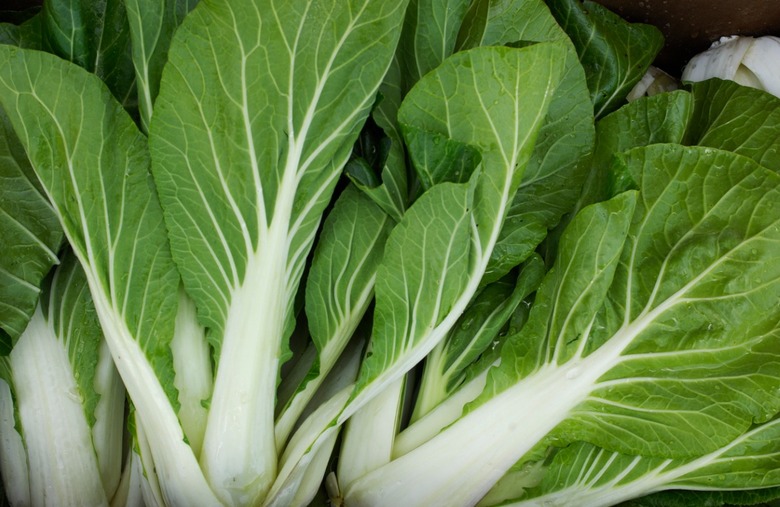 Bok choy