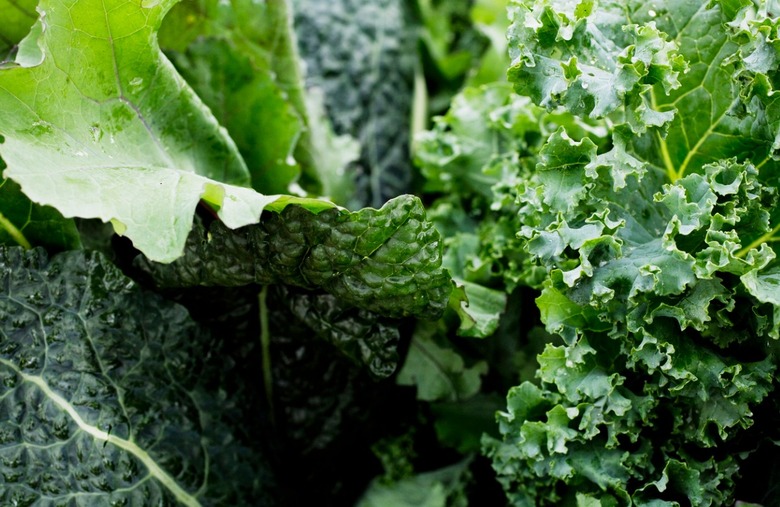 Kale