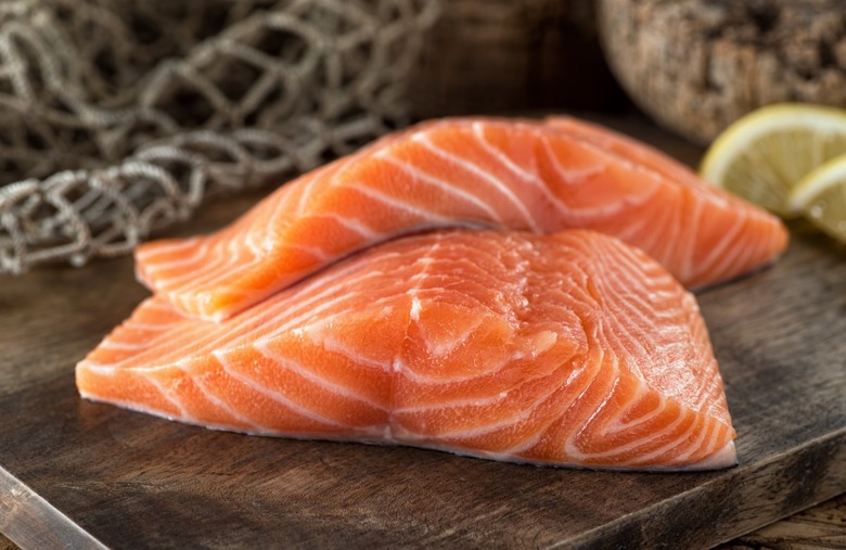 Salmon