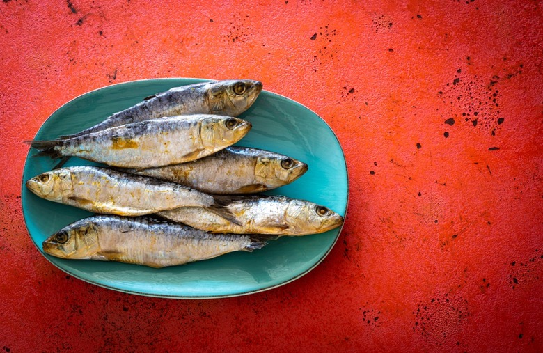 Sardines