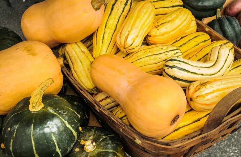 Squash