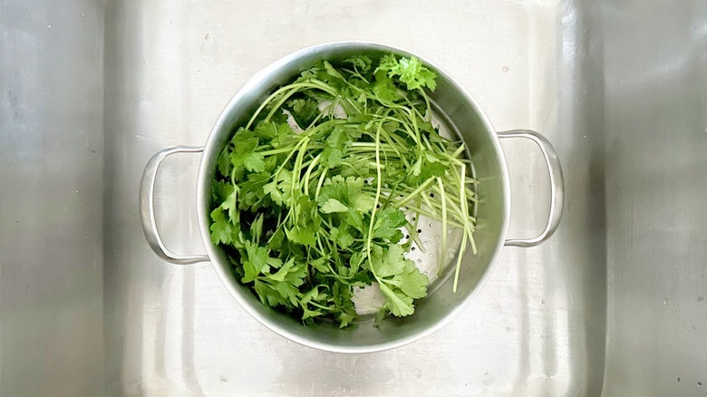 Fresh herbs in sink
