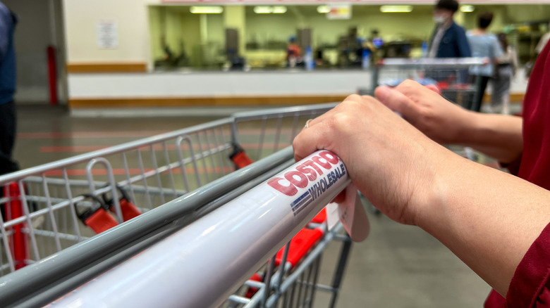 person's hands pushing a shopping cart inside Costco