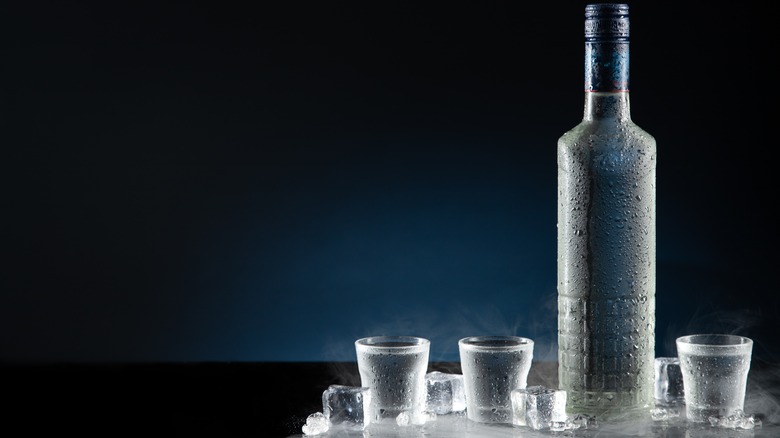 Bottle and shots of vodka