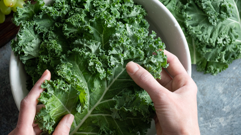 Woman holding kale