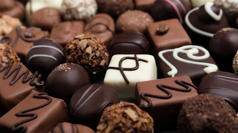 Assorted Belgian chocolate pralines