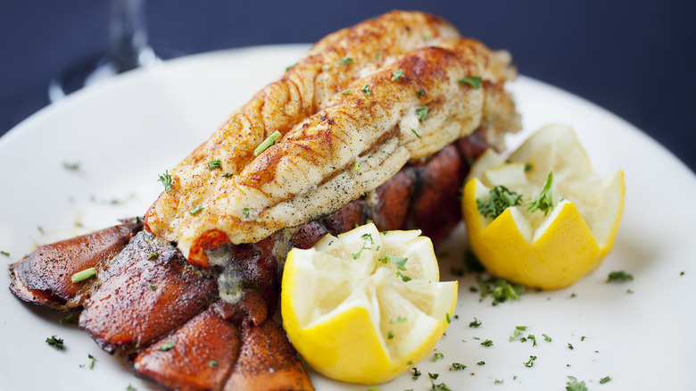 Butterflied lobster tail on white plate