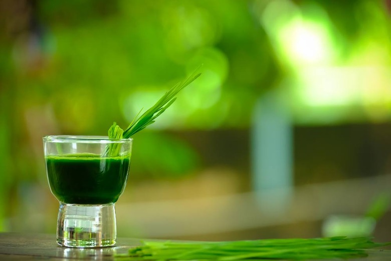 Wheatgrass