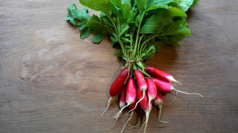 bundle of Radishes