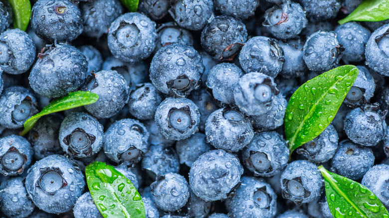 blueberries and leaves
