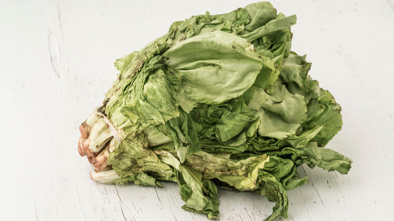 wilted lettuce