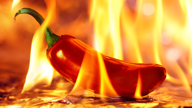 Chili pepper with fire 