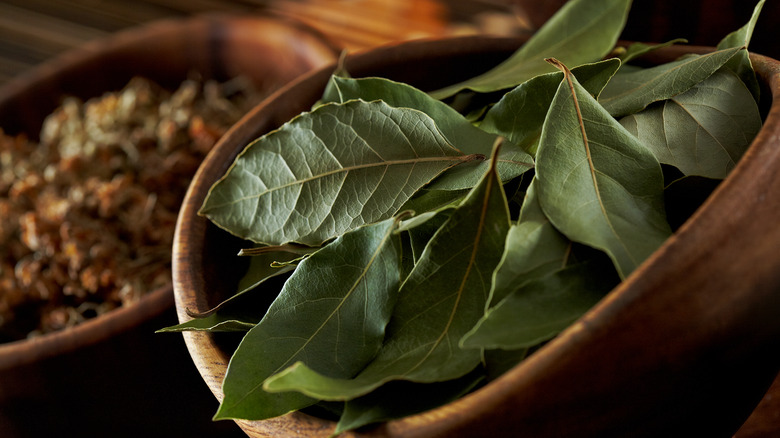 bay laurel leaves in bowl