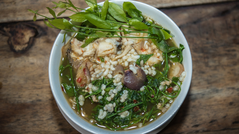 ant egg soup from above