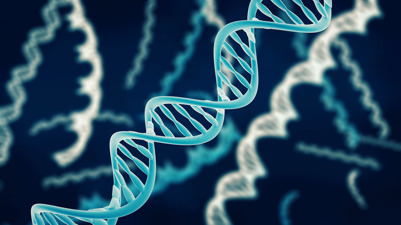 Blue DNA double helix