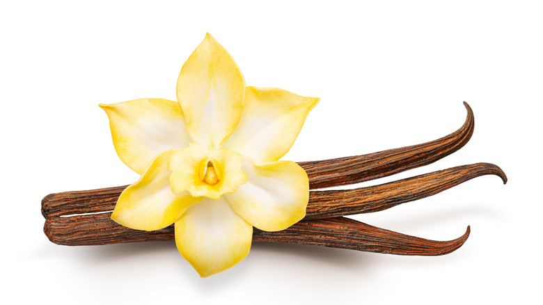 Vanilla flower