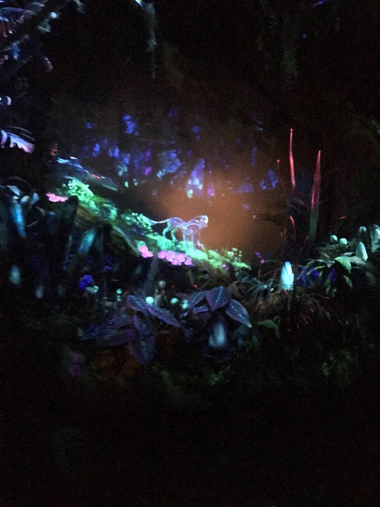Na'vi River Journey
