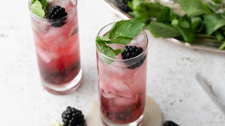 hibiscus and blackberry mojito