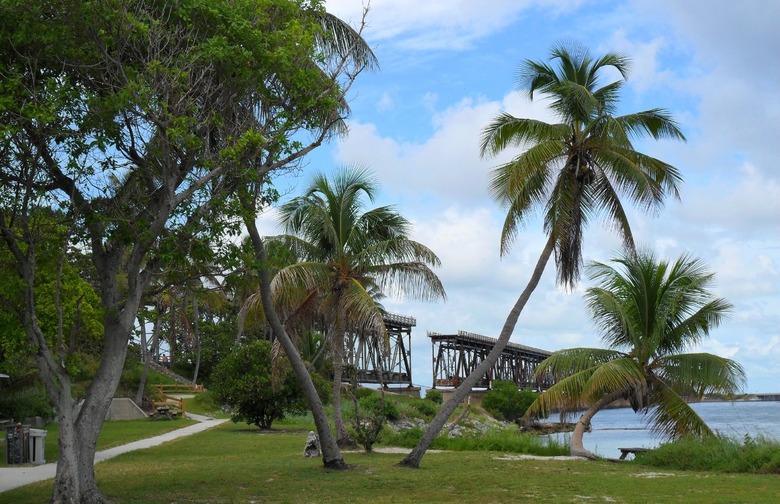 Bahia Honda State Park (Big Pine Key, Florida)