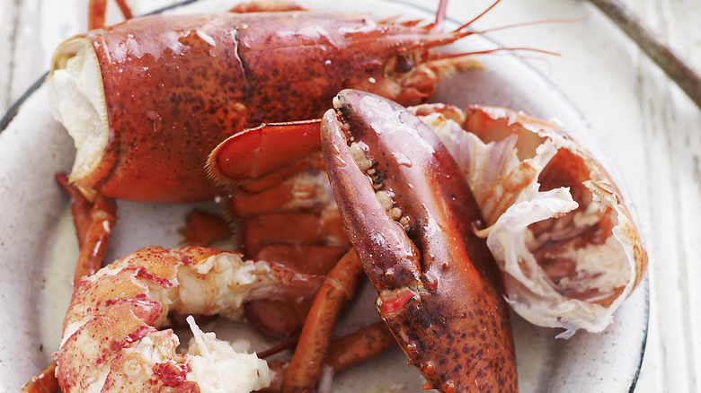 Lobster cut up
