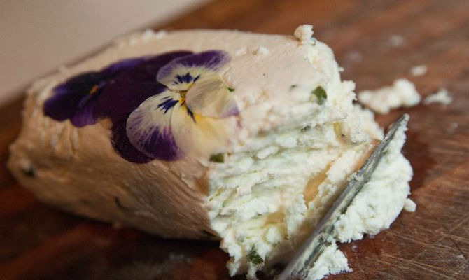 Farmstead Cheese