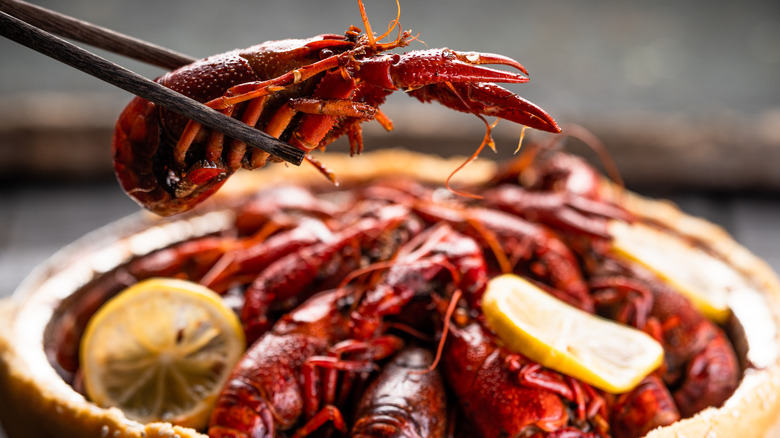 chopsticks holding crawfish over bowl