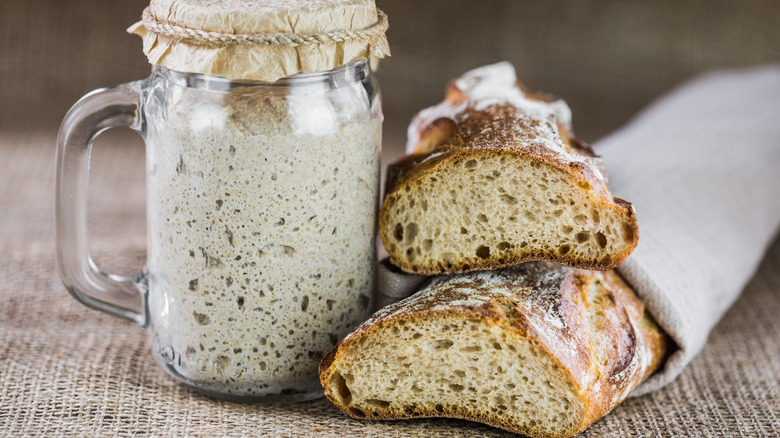 sourdough starter and bread 