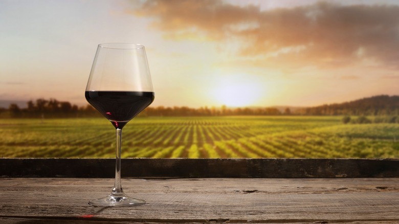 glass of wine at a vineyard