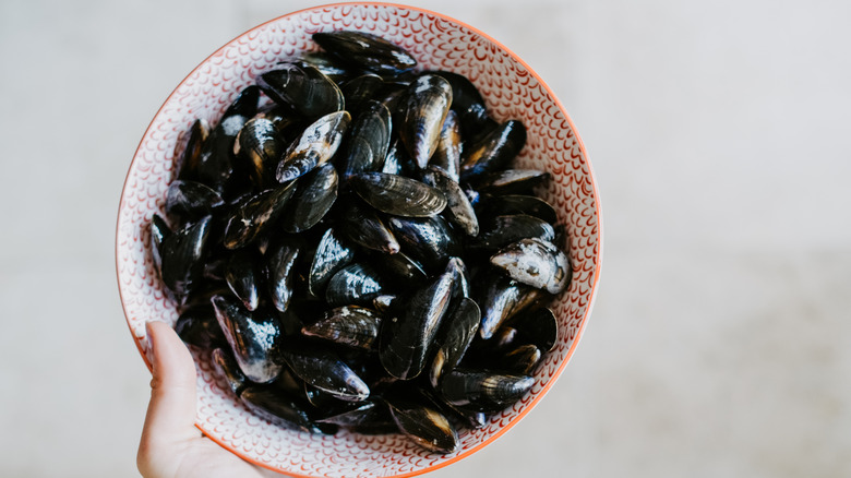 A bowl of fresh mussels in their shells.