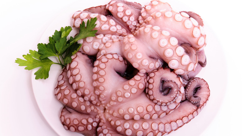 A plate of raw fresh octopus with a sprig of parsley.