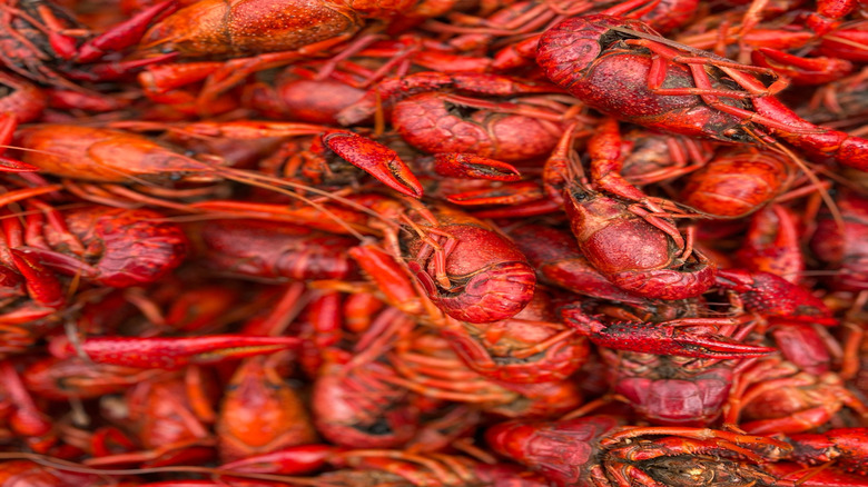 A pile of freshly cooked red crawfish.