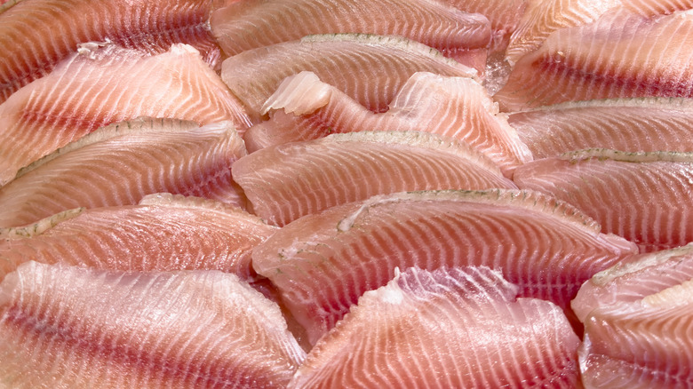 A stack of raw tilapia filets.