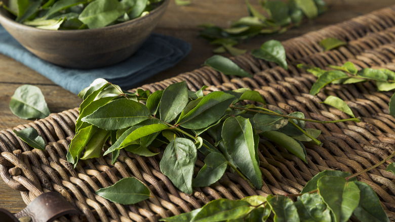 Fresh curry leaves 