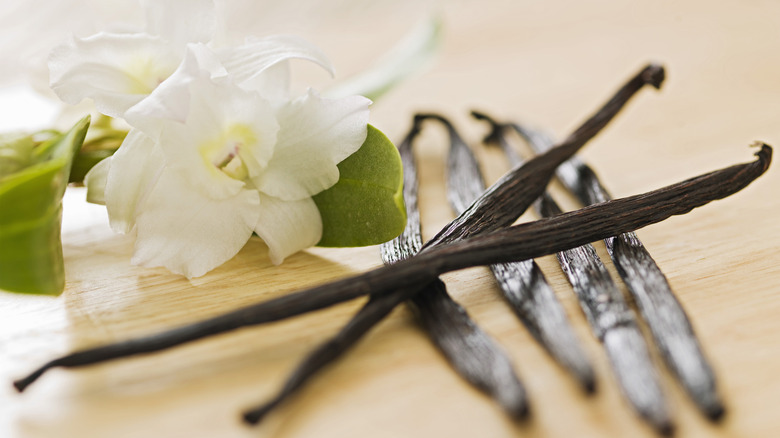 vanilla beans next to vanilla flower