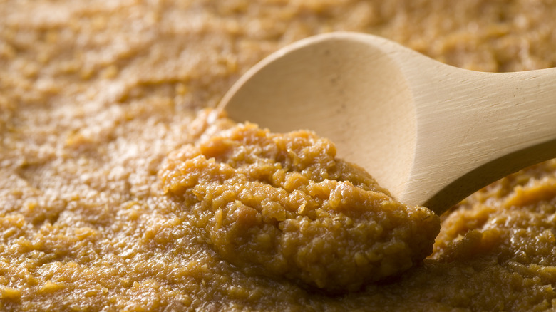 Close-up shot of miso paste 