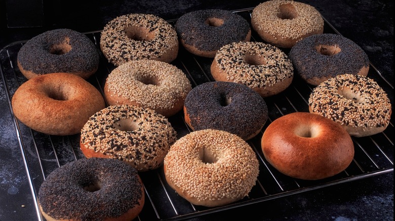 Fresh bagels on oven rack 