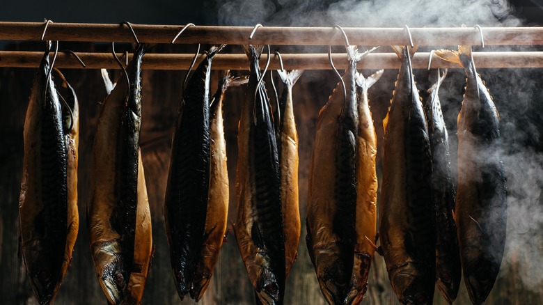 fish being cold smoked