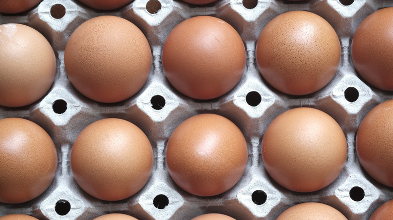 carton of eggs
