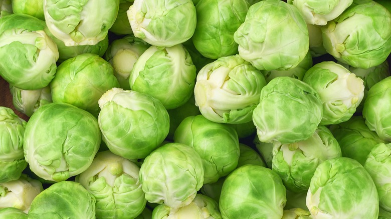 Brussels sprouts