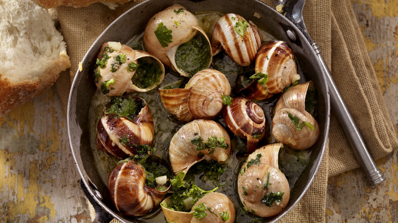 Baked escargot in shells