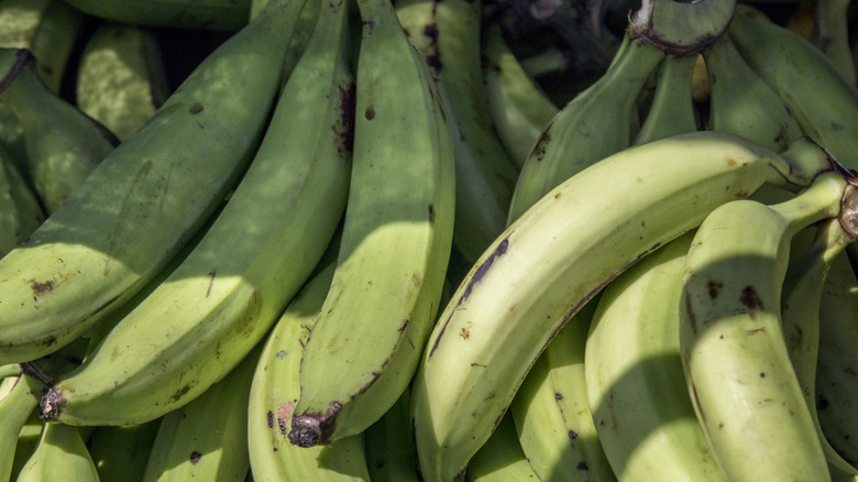 Pile of green plantains