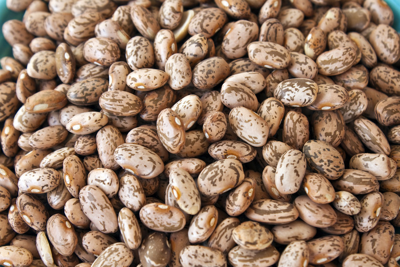Pinto Beans 